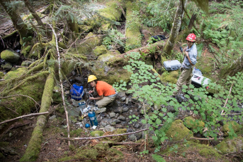Soil and Stream field work 2017