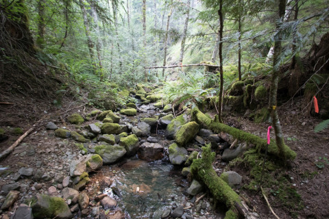 Soil and Stream field work 2017