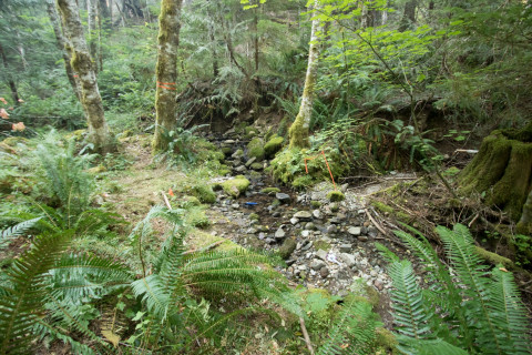 Soil and Stream field work 2017