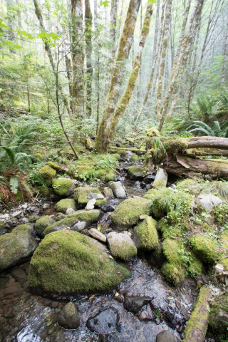 Soil and Stream field work 2017