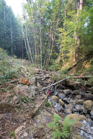 Soil and Stream field work 2017