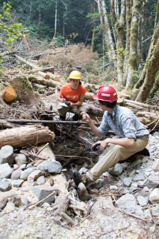 Soil and Stream field work 2017