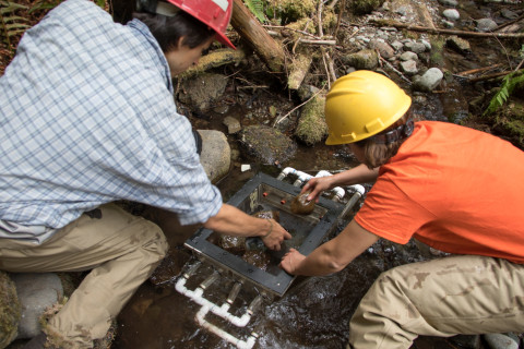 Soil and Stream field work 2017