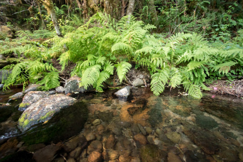 Soil and Stream field work 2017
