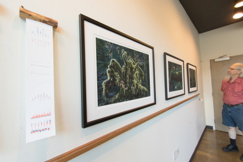 art exhibit