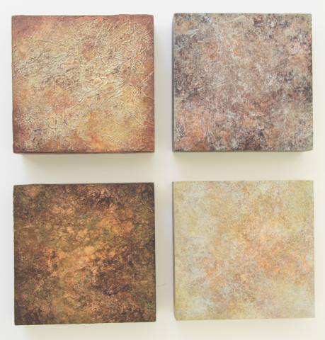 Forest Duff Studies by artist Ann Rosenthal