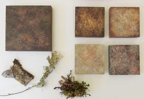 Forest Duff Studies by artist Ann Rosenthal