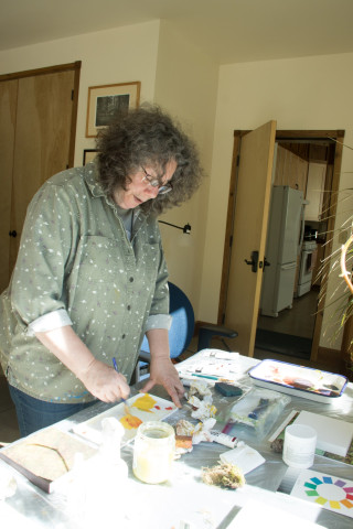 Artist Ann Rosenthal