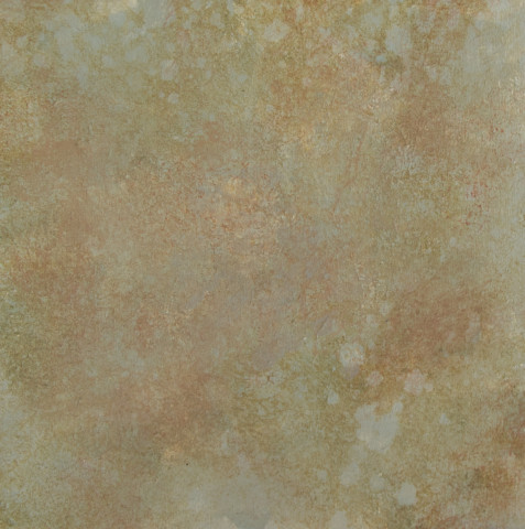 Lichen Study by artist Ann Rosenthal
