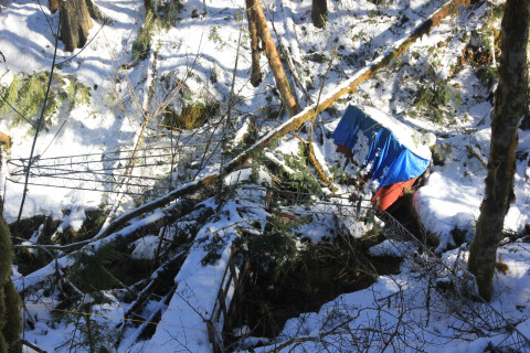 Snow and tree mortality event March 2019