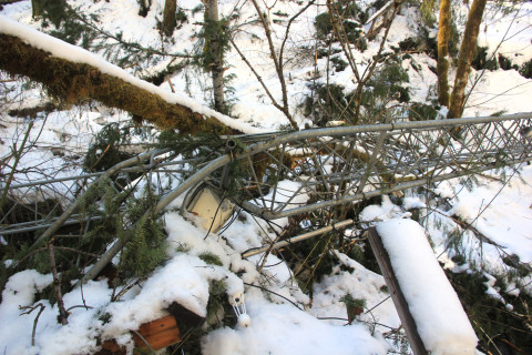 Snow and tree mortality event March 2019