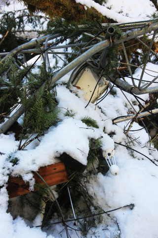 Snow and tree mortality event March 2019