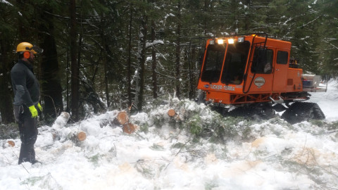 Clearing trees from the 1506 Road. Ben Murley and the sno-cat.