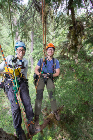 Dwarf Mistletoe Survey 2019