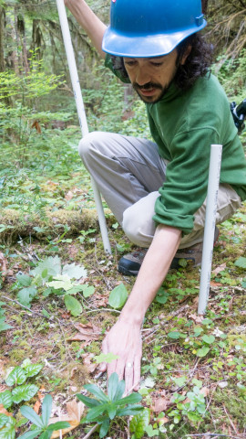 Forests of Oregon Elevation Gradient (FOREG) 2019