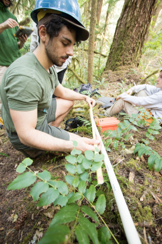 Forests of Oregon Elevation Gradient (FOREG) 2019