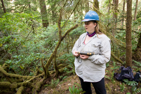 Forests of Oregon Elevation Gradient (FOREG) 2019