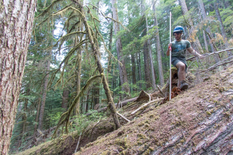 Forests of Oregon Elevation Gradient (FOREG) 2019