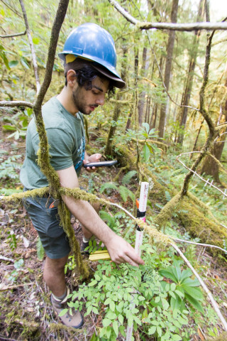 Forests of Oregon Elevation Gradient (FOREG) 2019