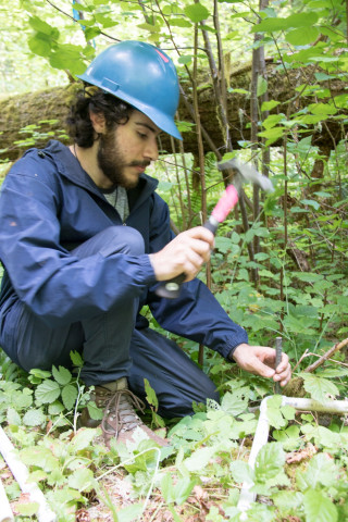 Forests of Oregon Elevation Gradient (FOREG) 2019