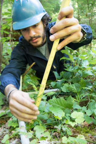 Forests of Oregon Elevation Gradient (FOREG) 2019