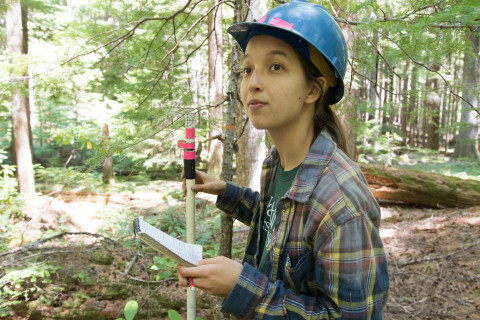 Forests of Oregon Elevation Gradient (FOREG) 2019