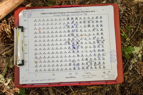 Forests of Oregon Elevation Gradient (FOREG) 2019