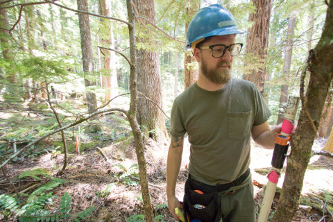 Forests of Oregon Elevation Gradient (FOREG) 2019