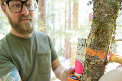 Forests of Oregon Elevation Gradient (FOREG) 2019