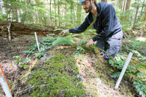 Forests of Oregon Elevation Gradient (FOREG) 2019