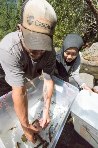 Lookout Creek Spatially Explicit Sampling of Aquatic Vertebrates