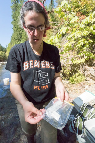 Lookout Creek Spatially Explicit Sampling of Aquatic Vertebrates
