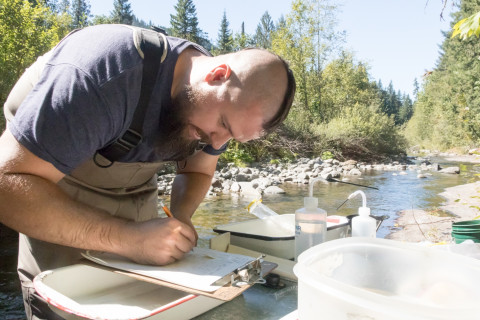 Lookout Creek Spatially Explicit Sampling of Aquatic Vertebrates