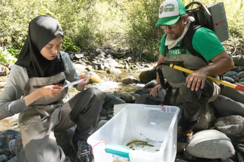 Lookout Creek Spatially Explicit Sampling of Aquatic Vertebrates