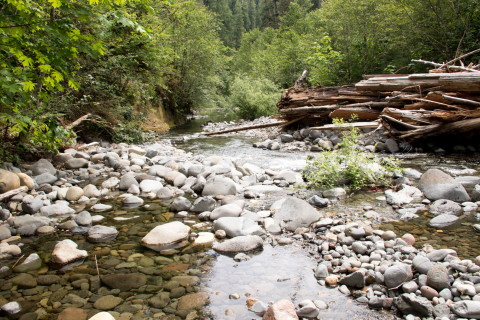 Stream Cross Section Study 2019