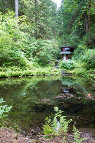 Watershed 2 Gage