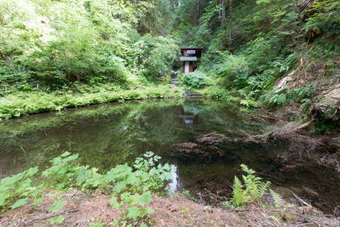 Watershed 2 Gage