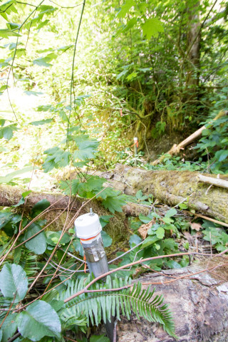 WS01 hydrology