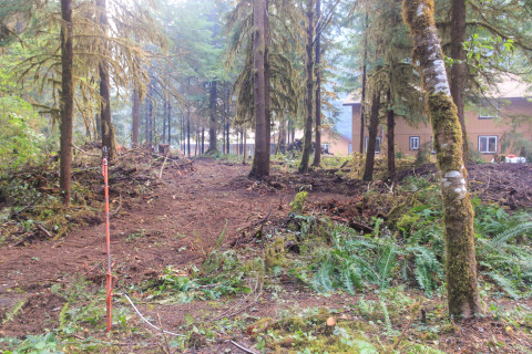Holiday Farm Fire 2020