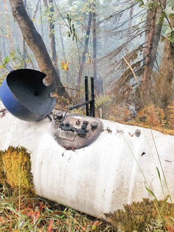 Holiday Farm Fire 2020