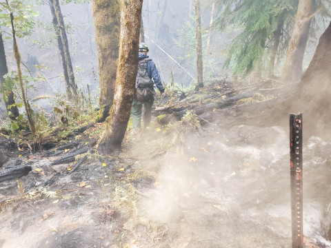 Holiday Farm Fire 2020