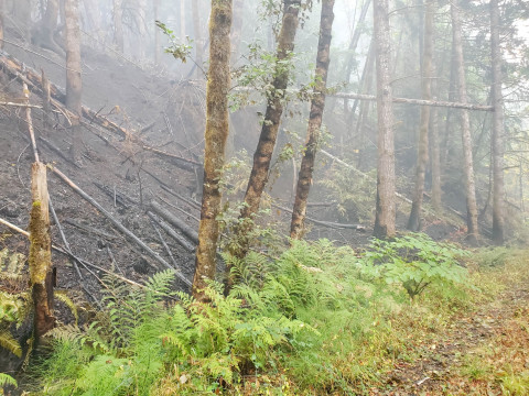 Holiday Farm Fire 2020
