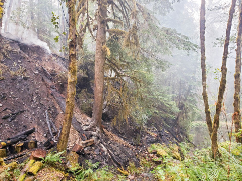 Holiday Farm Fire 2020