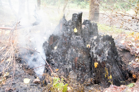 Holiday Farm Fire 2020