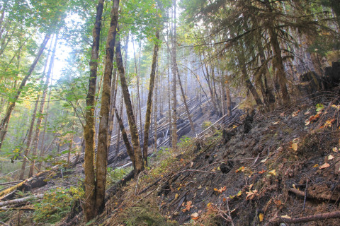 Holiday Farm Fire 2020
