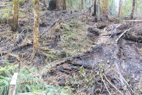 Holiday Farm Fire 2020