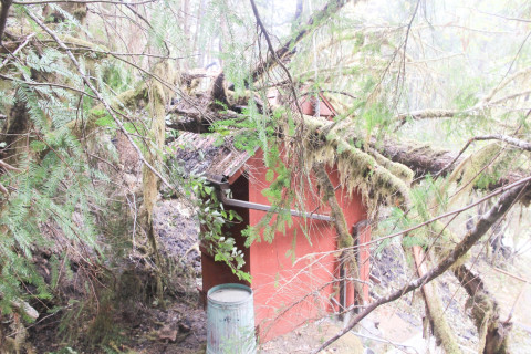 Holiday Farm Fire 2020