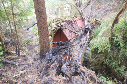 Holiday Farm Fire 2020