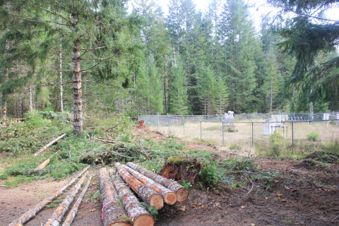 Holiday Farm Fire 2020