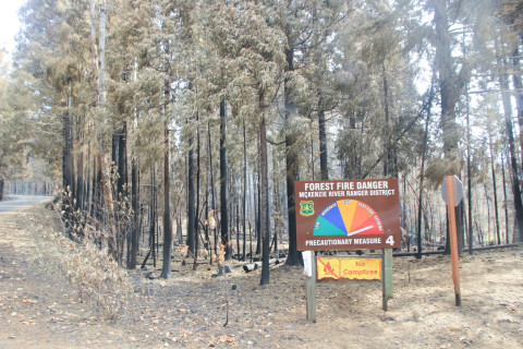 Holiday Farm Fire 2020